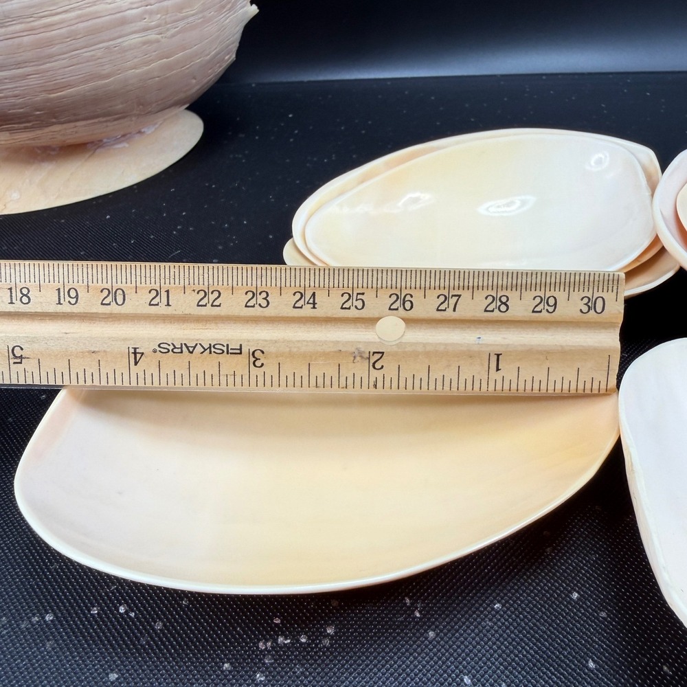 Vintage Hand Carved Conch Shell Bowl Set 9 Dishes Servers Coastal w Utensils - Picture 13 of 16